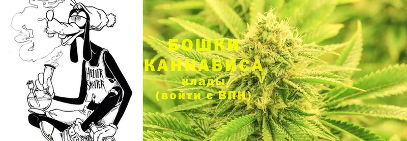 Бошки марихуана LSD WEED  kraken ССЫЛКА  Канск  наркотики 